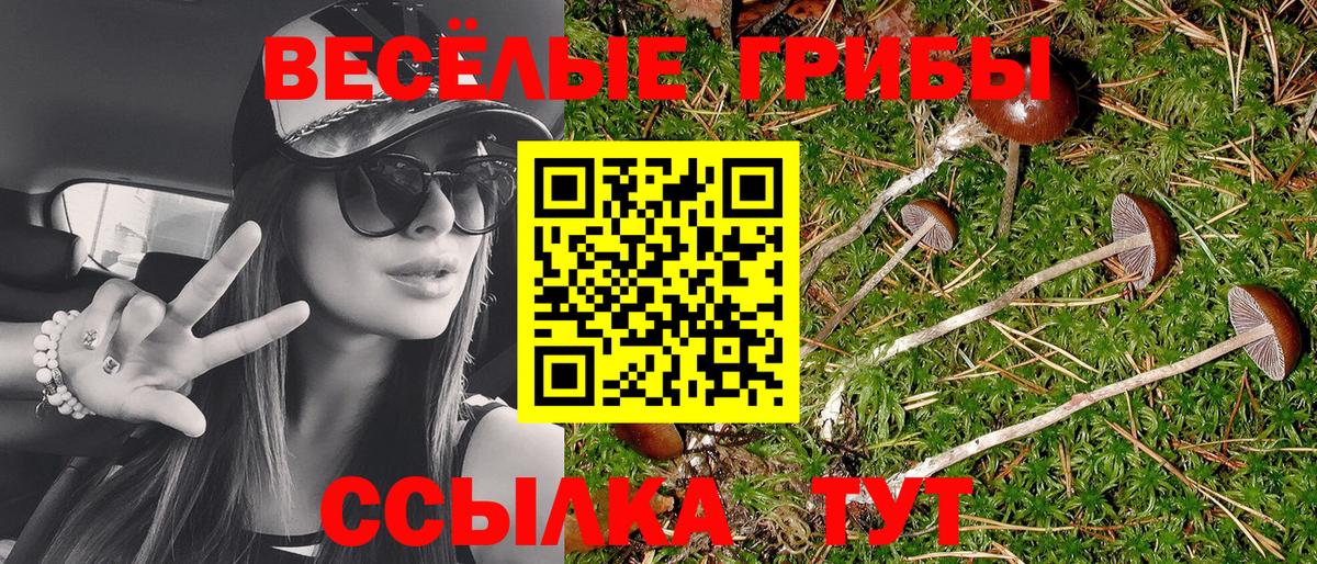 Галлюциногенные грибы GOLDEN TEACHER  Вход с VPN  Костомукша 